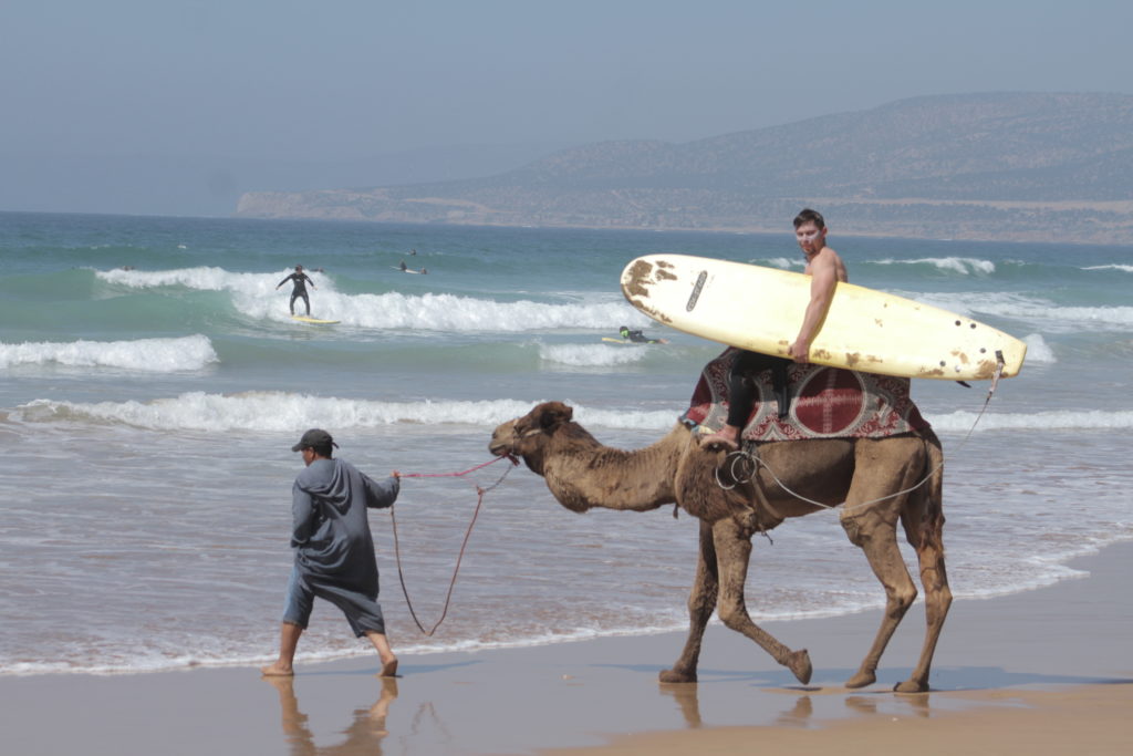 Solid Surf House - Wavelength Surf Magazine - since 1981