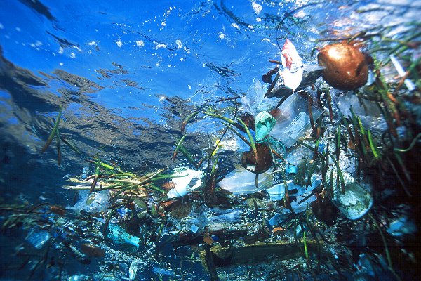 Floating ocean plastic waste