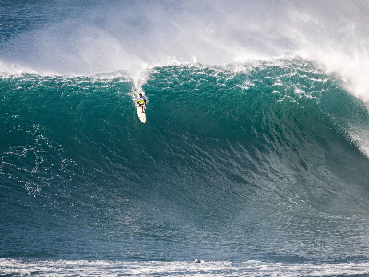 Live Eddie Aikau Big Wave Invitational in Ultra HD 4K Wavelength