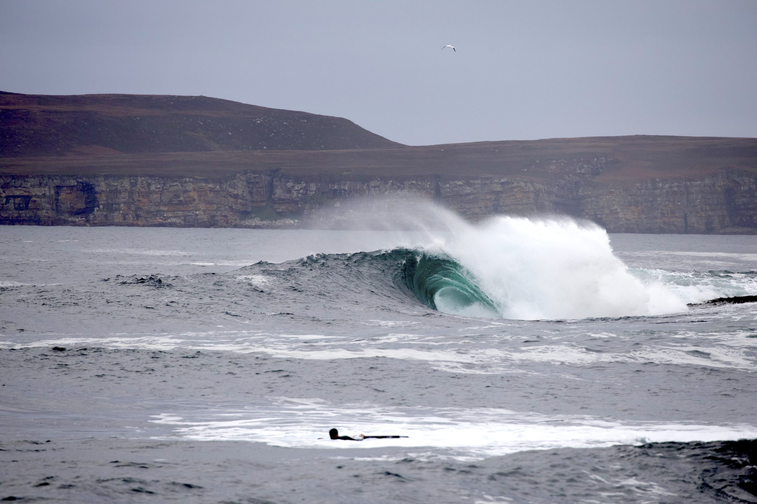 Watch: The Bucketey, One Last Trip Before Life Changes Forever ...